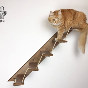 Cat stair with 3 or 5 steps Goes up Right Cat furniture AthletiCat Made in Italy Noce / Walnut