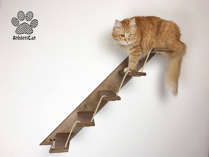 Échelle pour chats avec 3 ou 5 étapes Vers Dx Meubles de chat AthletiCat Fabriqué en Italie
