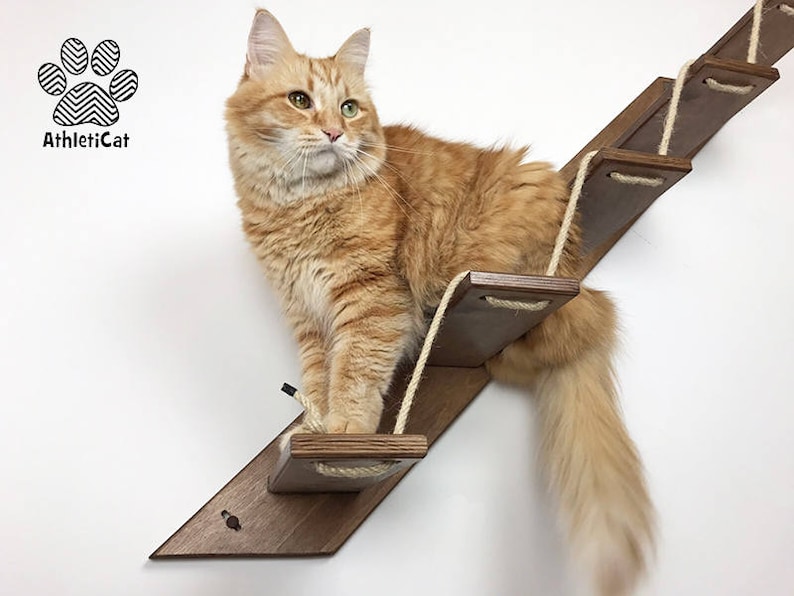 Cat stair with 3 or 5 steps Goes up Right Cat furniture AthletiCat Made in Italy image 9