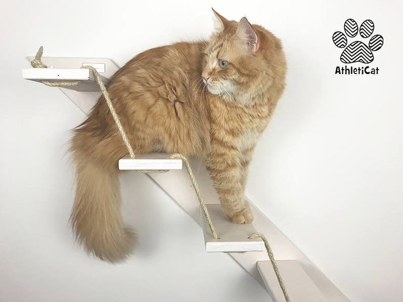 Cat Stair With 3 or 5 Steps Goes up Left Cat Furniture Etsy Australia