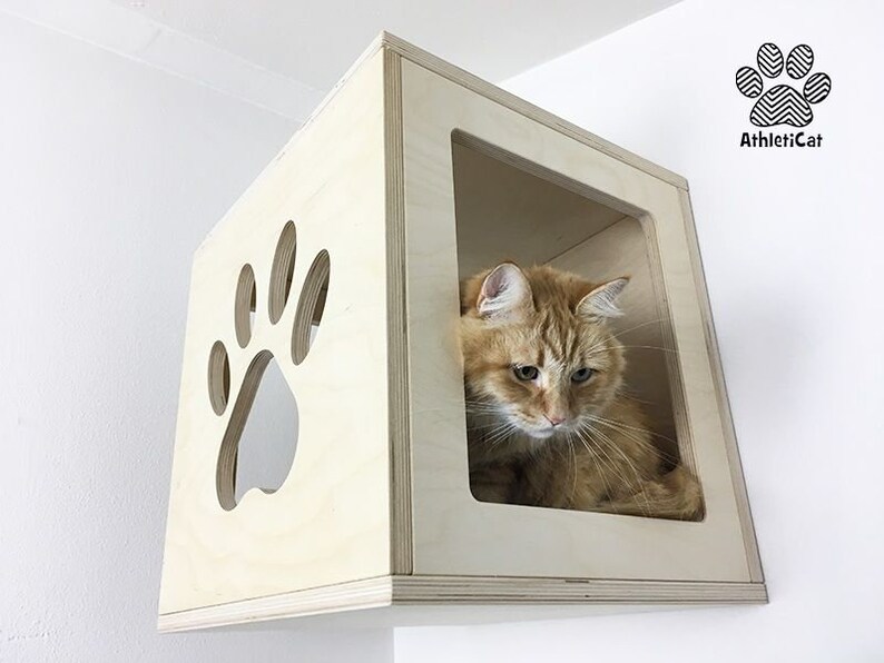 Cat cube with carved paw in wood Cat furniture AthletiCat Etsy