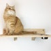 see more listings in the Cat shelves section