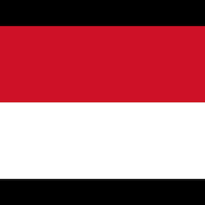 Indonesia Flag, Indonesian Flag, Car Window Decal, Bumper Sticker, Water Bottle, Tumbler, Tablet, Laptop, Waterproof, Vinyl