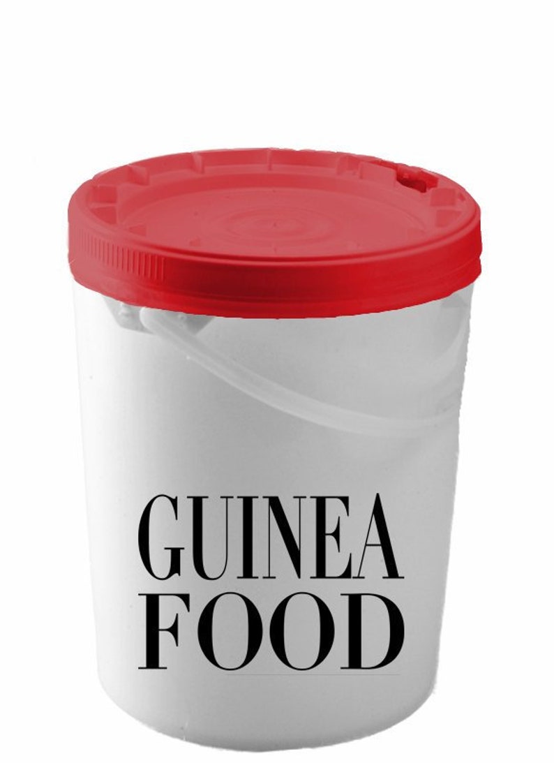 Guinea Pig Food Decal Guinea Pig Food Storage Decal Guinea Etsy