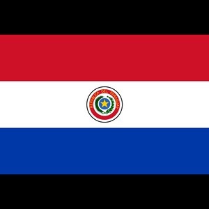 Paraguay Flag 1988 - 2013, Paraguayan Flag, Car Window Decal, Bumper Sticker, Water Bottle, Tumbler, Tablet, Laptop, Waterproof, Vinyl