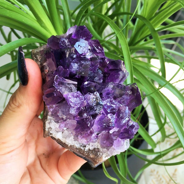 Amethyst Cluster Crystal / Amethyst  Geode