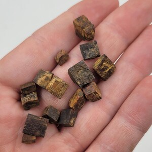 May include: A collection of small, cube-shaped pyrite stones, each with a unique, textured surface and varying shades of brown and gold. The stones are held in an open hand against a plain white background.