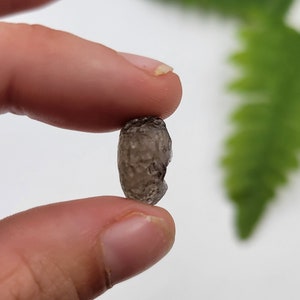 Colombianite Tektite. Black Tektite. 100% Natural Mineral. Raw Tektite. Tektite var Colombianite. Rare Find.