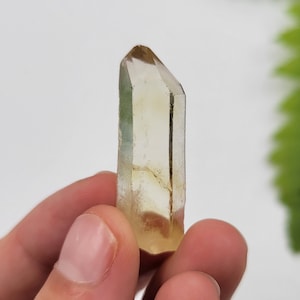 Citrine Point. Phantom Citrine. 100% Natural. Raw Termination. Madagascar.