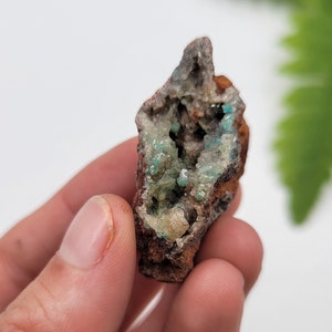 Rosasite and Calcite on Limonite. Ojuela Mine, Mexico. Rare Mineral. 100% Natural. Rosatite and Clacite Combination.