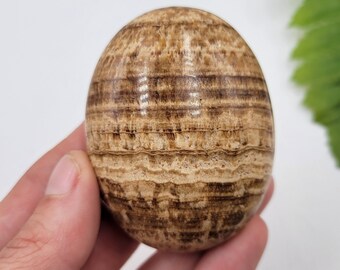 Banded Brown Aragonite Palmstone. 100% Natural Mineral. Polished. Aragonite Crystal.