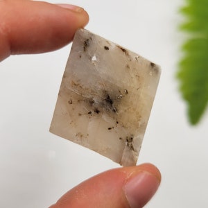 May include: A white, translucent, rectangular crystal with black inclusions. The crystal is being held by a hand.