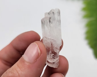 Terminated Danburite. 100% Natural Formation. Raw Danburite. Mexico.