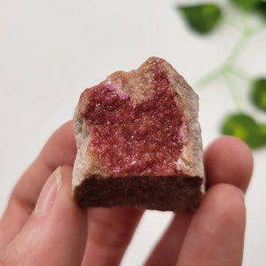 Pink Raw Colbaltoan Calcite. Drury from Africa. Collection Piece. Natural Colbaltoan Calcite.