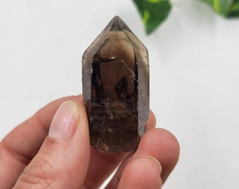 Raw Smoky Quartz Point: Natural Nigerian Crystal Termination