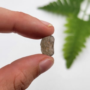 Colombianite Tektite. Black Tektite. 100% Natural Mineral. Raw Tektite. Tektite var Colombianite. Rare Find.