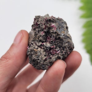 Erythrite in Matrix. Rare Find. Raw Erythrite. 100% Natural. Pink Erythrite. Morocco.