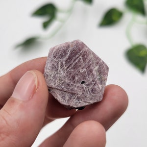 May include: A hand holds a rough, hexagonal-shaped, pinkish-purple crystal. The crystal has a textured surface with visible lines and small dark inclusions. The background is blurred, with green leaves visible.
