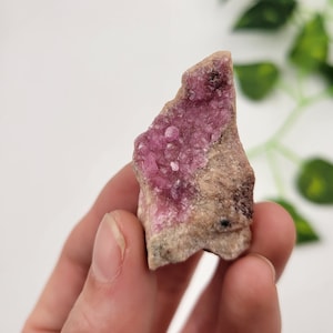 Pink Raw Colbaltoan Calcite. Drury from Africa. Collection Piece. Natural Colbaltoan Calcite.