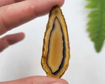 May include: A thin, teardrop-shaped slice of agate with brown, black, and white banding. The agate is translucent and has a smooth, polished surface.
