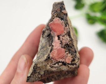 May include: A rough, gray rock with a cluster of pink, translucent crystals embedded in it. The crystals have a sharp, geometric shape.