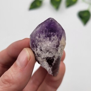 Bahia Amethyst Root. 100% Natural Termination. Amazing Formation. Raw Amethyst. Bahia, Brazil.