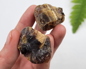 Raw Amber Set: 100% Natural Indonesian Tree Resin, UV Reactive