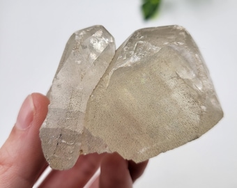 黄鉄鉱を内包する方解石：キラキラ輝く混合鉱物