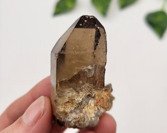 Cathedral Smoky Quartz Point: Raw Terminated Crystal from Nigeria