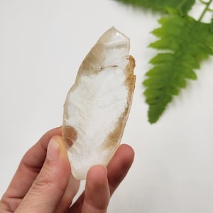 Ice Selenite Blade. Utah. Raw Selenite. Golden Selenite. 100% Natural Mineral.