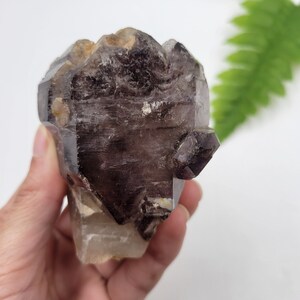 Smoky Elestial Amethyst on Clear Quartz Root. Natural Point. Nigeria. Amethyst Termination. Scepter Formation.