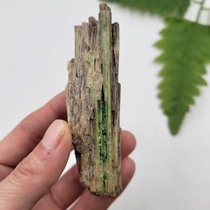 Pode incluir: Um cristal castanho e verde com uma textura estriada. O cristal tem aproximadamente 12,5 cm de altura e tem um aspeto áspero e natural.