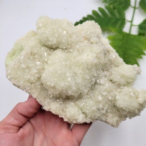 May include: A light green crystal cluster with a sparkling, textured surface. The mineral formation is held in a hand, with a fern leaf in the background. The crystal has a natural, organic shape and a soft, pale green color.