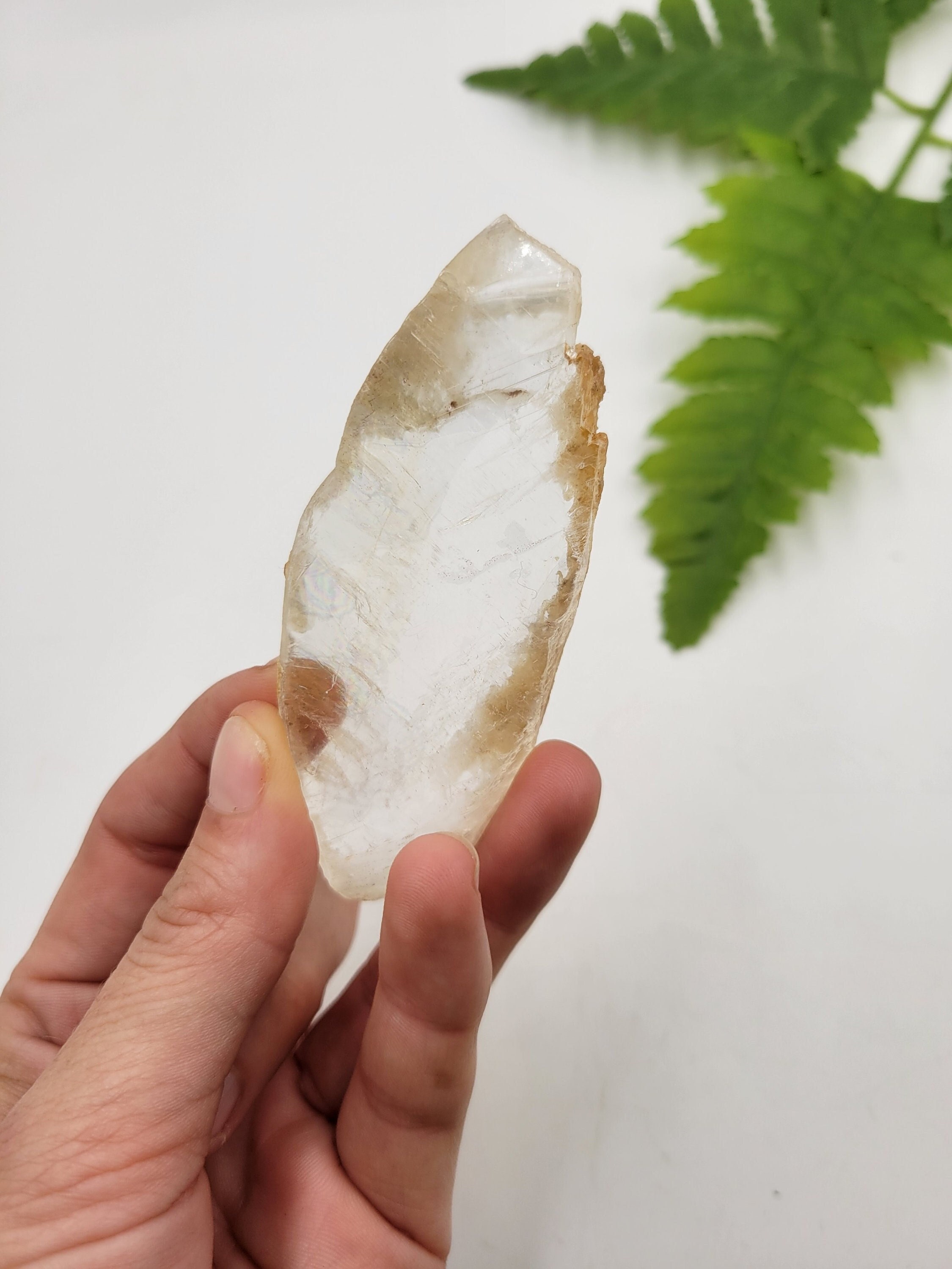 Raw Utah Selenite Blade: Golden Ice Crystal