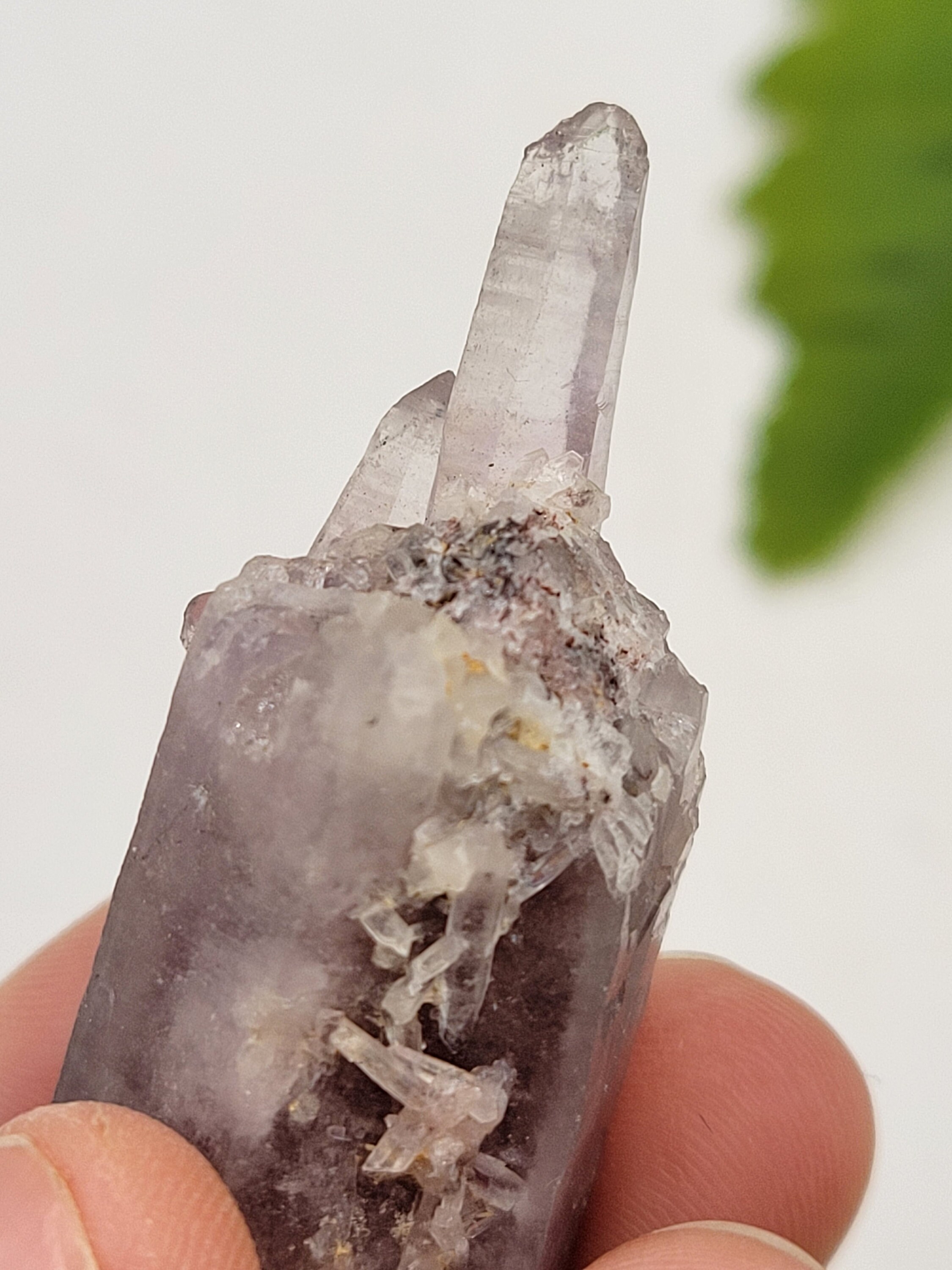 Améthyste - Spécimen Pointe d'Améthyste - Minera Emporium Crystal & Mineral  Shop