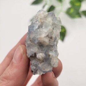 May include: A cluster of blue fluorite crystals with a white, cloudy appearance. The crystals are clustered together in a rough, natural formation.