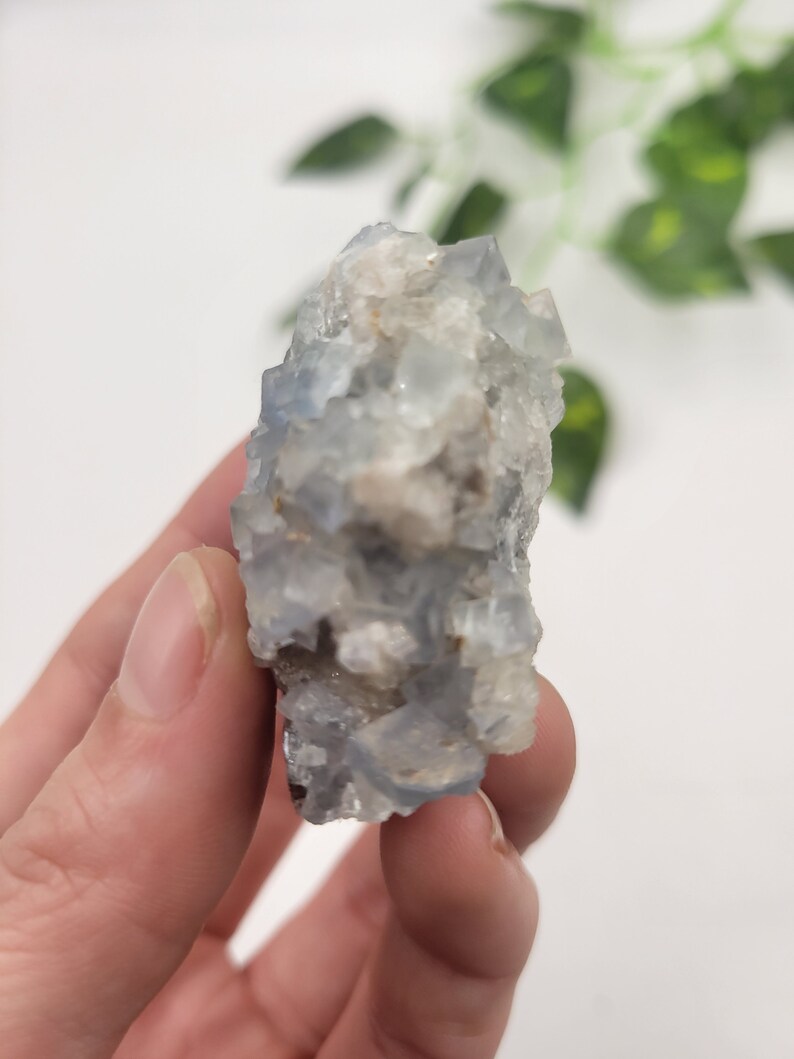 May include: A cluster of blue fluorite crystals with a white, cloudy appearance. The crystals are clustered together in a rough, natural formation.