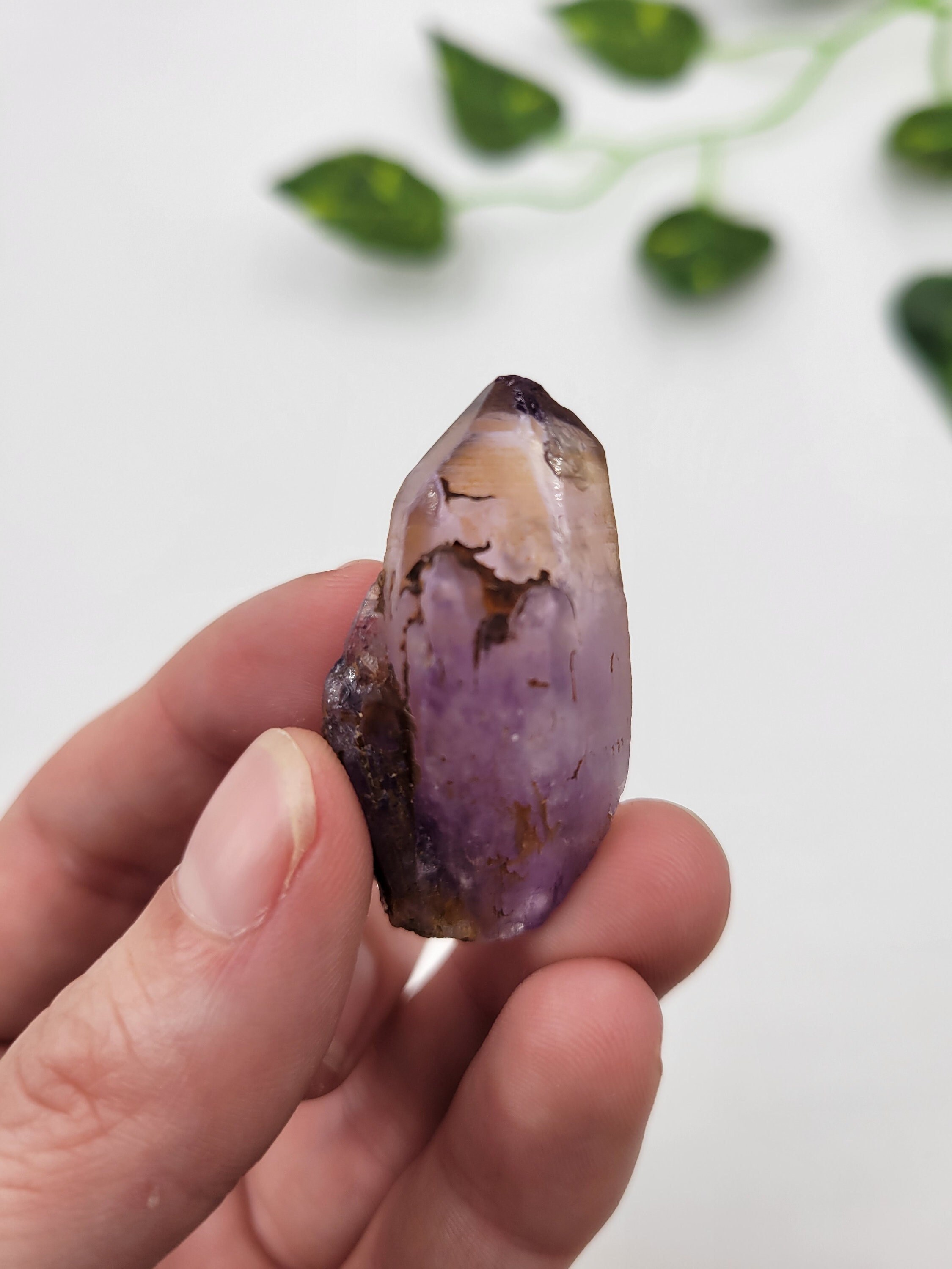 Tutu cliffs amethyst - Etsy 日本