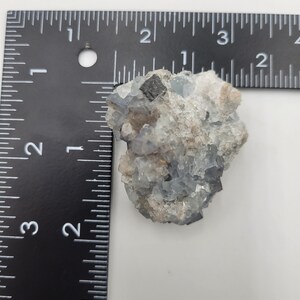May include: A cluster of blue fluorite crystals with some black inclusions. The crystals are about 1 inch in diameter and are arranged in a cluster. The fluorite is a light blue color and has a glassy luster.
