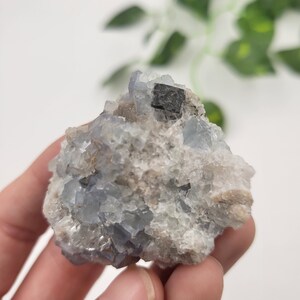 May include: A cluster of blue fluorite crystals with a black cube-shaped crystal on top. The crystals are in a rough, natural state and have a variety of sizes and shapes.