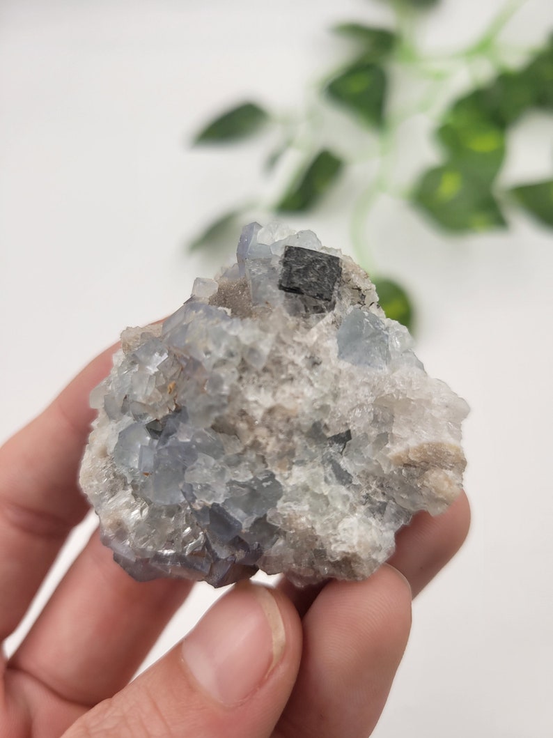 May include: A cluster of blue fluorite crystals with a black cube-shaped crystal on top. The crystals are in a rough, natural state and have a variety of sizes and shapes.