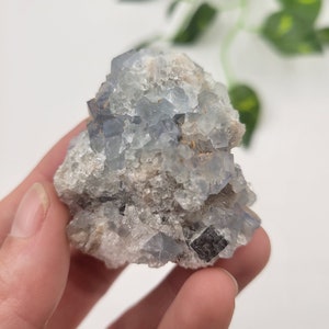 May include: A cluster of blue fluorite crystals with a rough, natural texture. The crystals are a light blue color and have a slightly iridescent sheen. The fluorite is set in a matrix of white and gray rock.