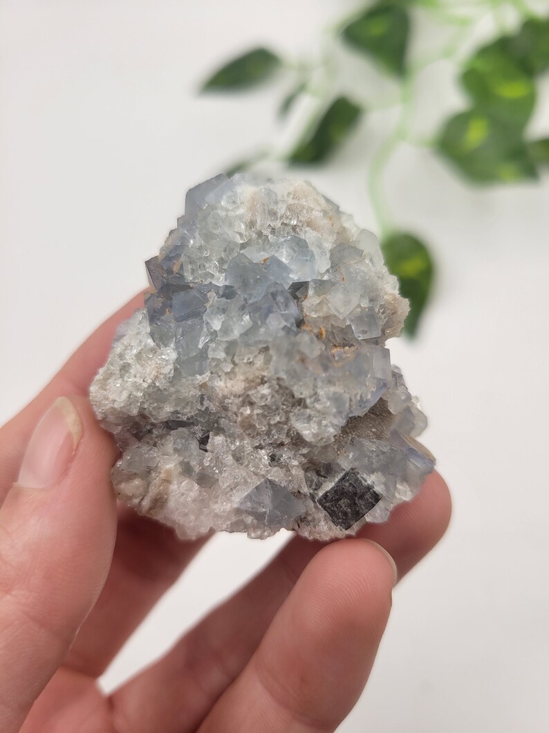 May include: A cluster of blue fluorite crystals with a rough, natural texture. The crystals are a light blue color and have a slightly iridescent sheen. The fluorite is set in a matrix of white and gray rock.