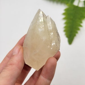 Elmwood Yellow Calcite. Terminated Calcite. 100% Natural Formation. Tennessee.