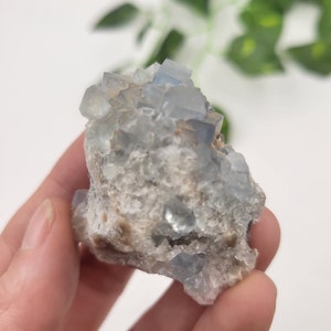 May include: A cluster of light blue fluorite crystals with a rough, natural texture. The crystals are clustered together in a random formation, creating a unique and interesting piece.