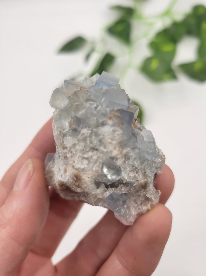 May include: A cluster of light blue fluorite crystals with a rough, natural texture. The crystals are clustered together in a random formation, creating a unique and interesting piece.