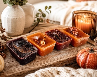 Fall Wax Melts, Natural Fall Wax Melts Unique, Large Homemade Wax Melt Gifts Long Lasting, Halloween Wax Snap Bar, Clove & Fall Scents