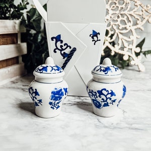Salt and Pepper Shakers Cute Ceramic Blue and White, Blue Salt & Pepper Shakers, Ginger Jar Vase Design, Hand Painted Chinoiserie Shaker