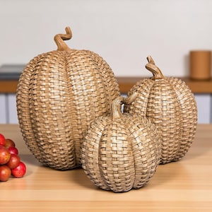Pumpkin Decor Indoor or Outdoor, Neutral Fall Centerpieces, Handmade Pumpkin Statues, Neutral Halloween Decor, Basketweave Pumpkin Set of 3