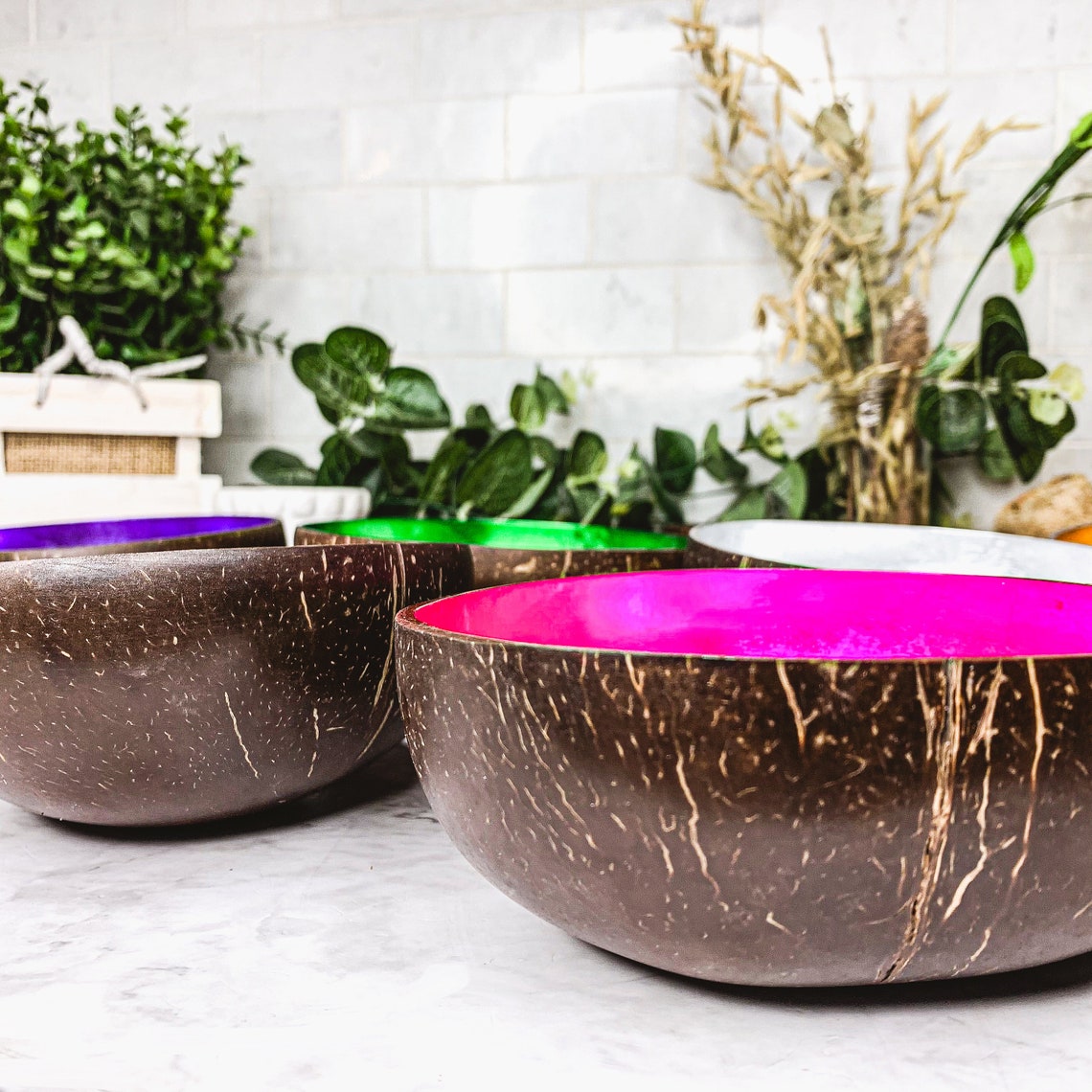 Coconut Bowl, Natural Coconut Shell Bowls With Shimmering Foil Lacquer ...